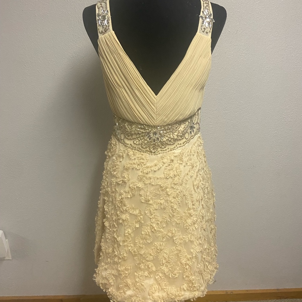 Stunning SueWong dress. Detailed beading on front back & shoulders.